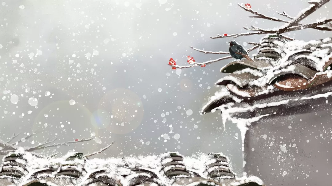 1574388716786233.jpg 1574388010(1).jpg