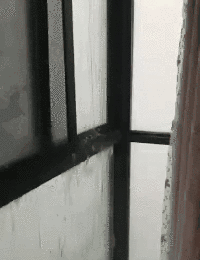 微信圖片_20210315172326.gif